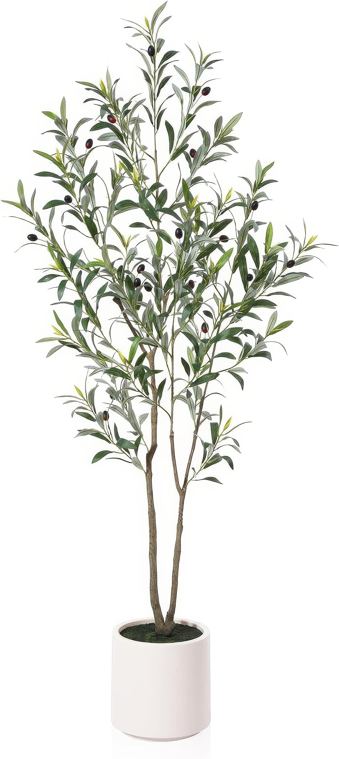 Handmade Olive Tree