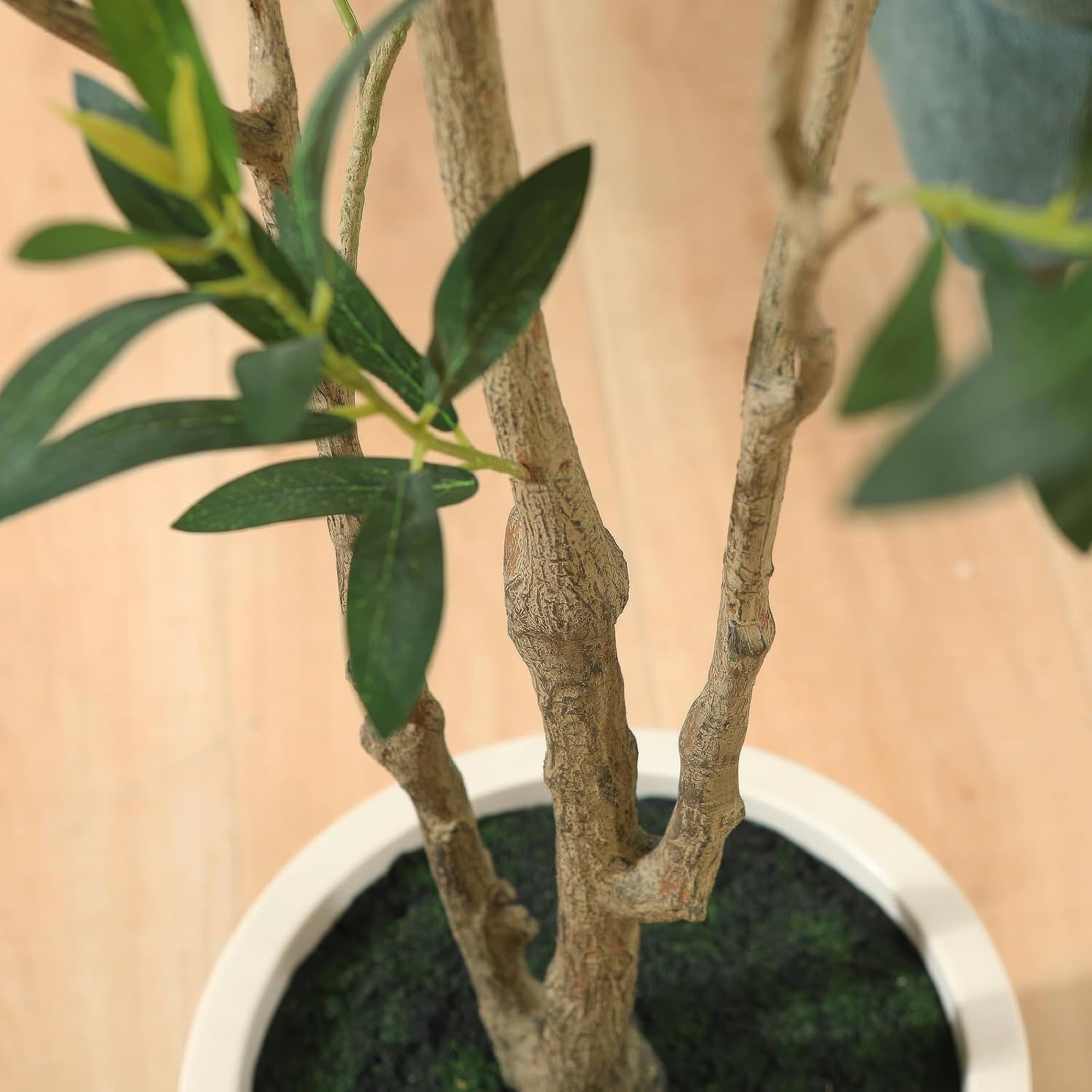 Handmade Olive Tree
